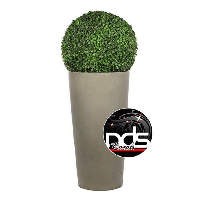 Pot de fleur avec boule de buis