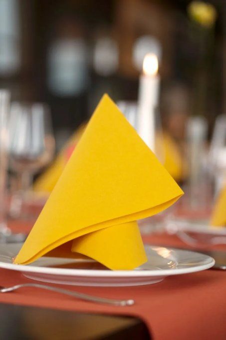 60x Serviettes jetables intissées Bio Premium 40x40cm